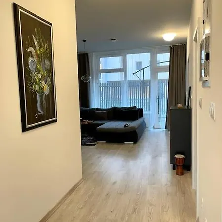 Amazing Large 2,5rooms With Terrace And Parking! *